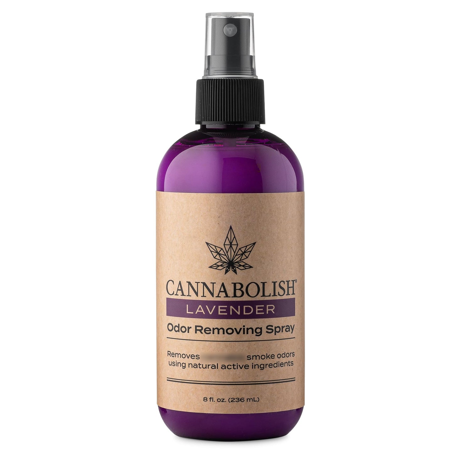 Cannabolish Wintergreen Smoke Odor Eliminator Spray and Air Freshener, 8 fl. oz, Natural Ingredients