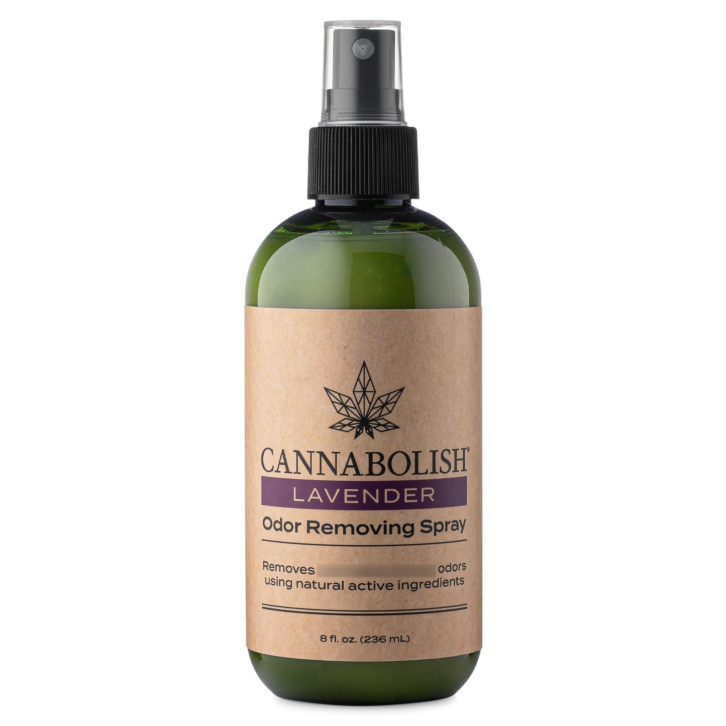 Cannabolish Wintergreen Smoke Odor Eliminator Spray and Air Freshener, 8 fl. oz, Natural Ingredients